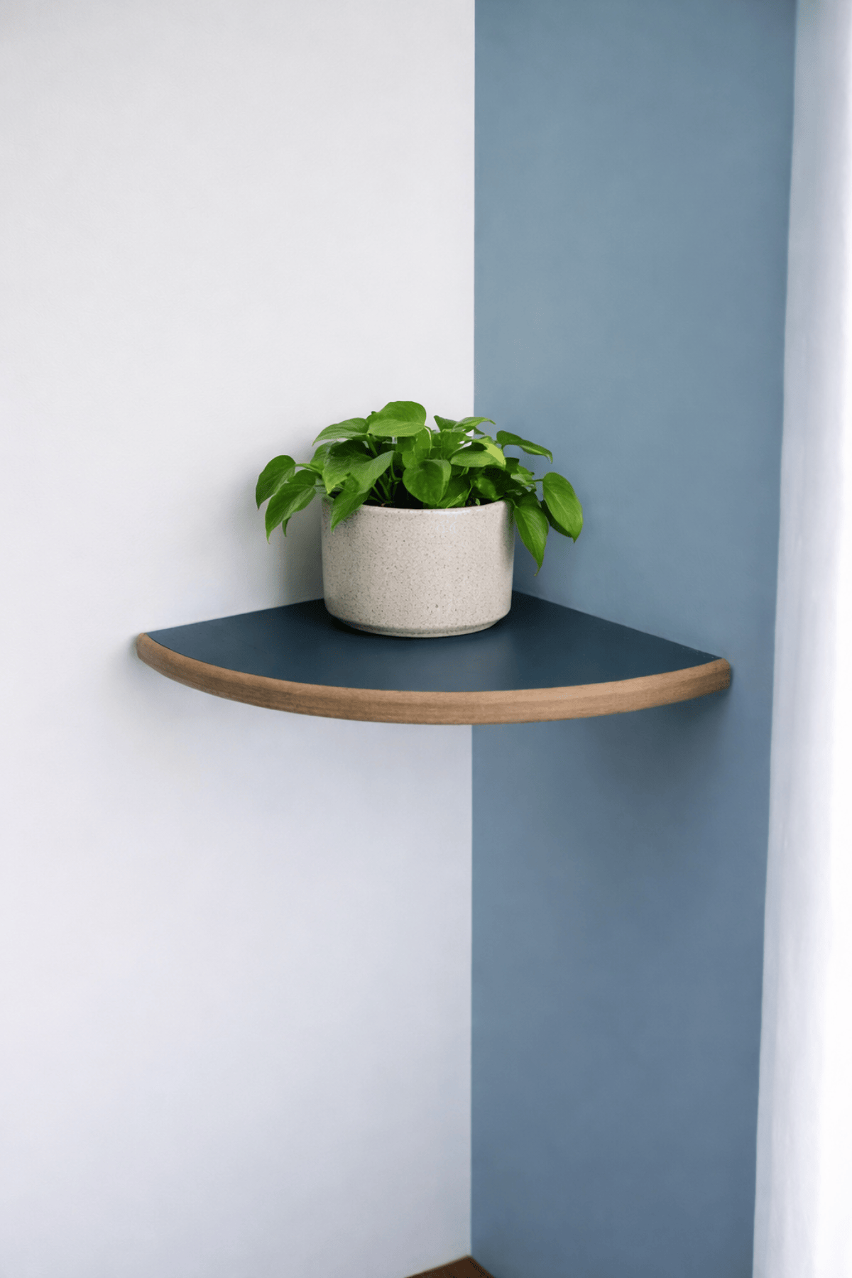 Tekli Duvar Raf Seti (25 cm) – Salon ve Oturma Odaları İçin Şık Köşe Rafı