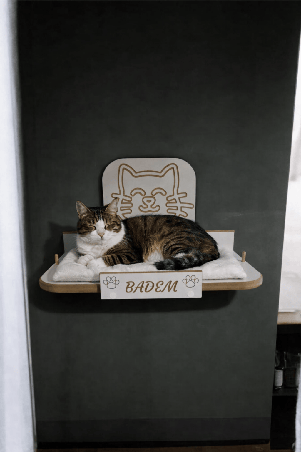 Kedi Yatağı, Duvara Monte Premium (30x48 cm) CNC Kazımalı 3D Figürlü|Sağlam Vida Sistemli | Minderli