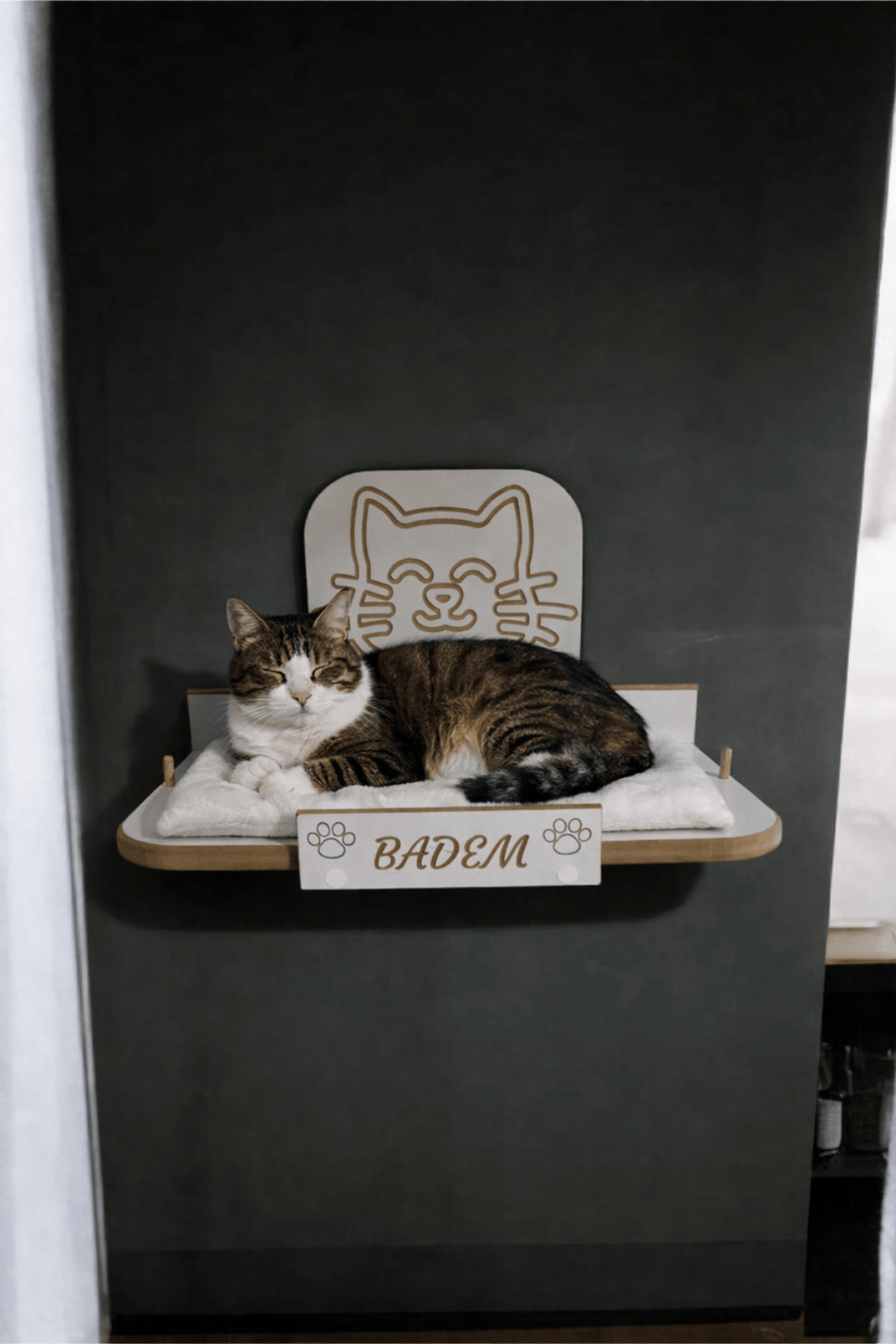 Kedi Yatağı, Duvara Monte Premium (30x48 cm) CNC Kazımalı 3D Figürlü|Sağlam Vida Sistemli | Minderli